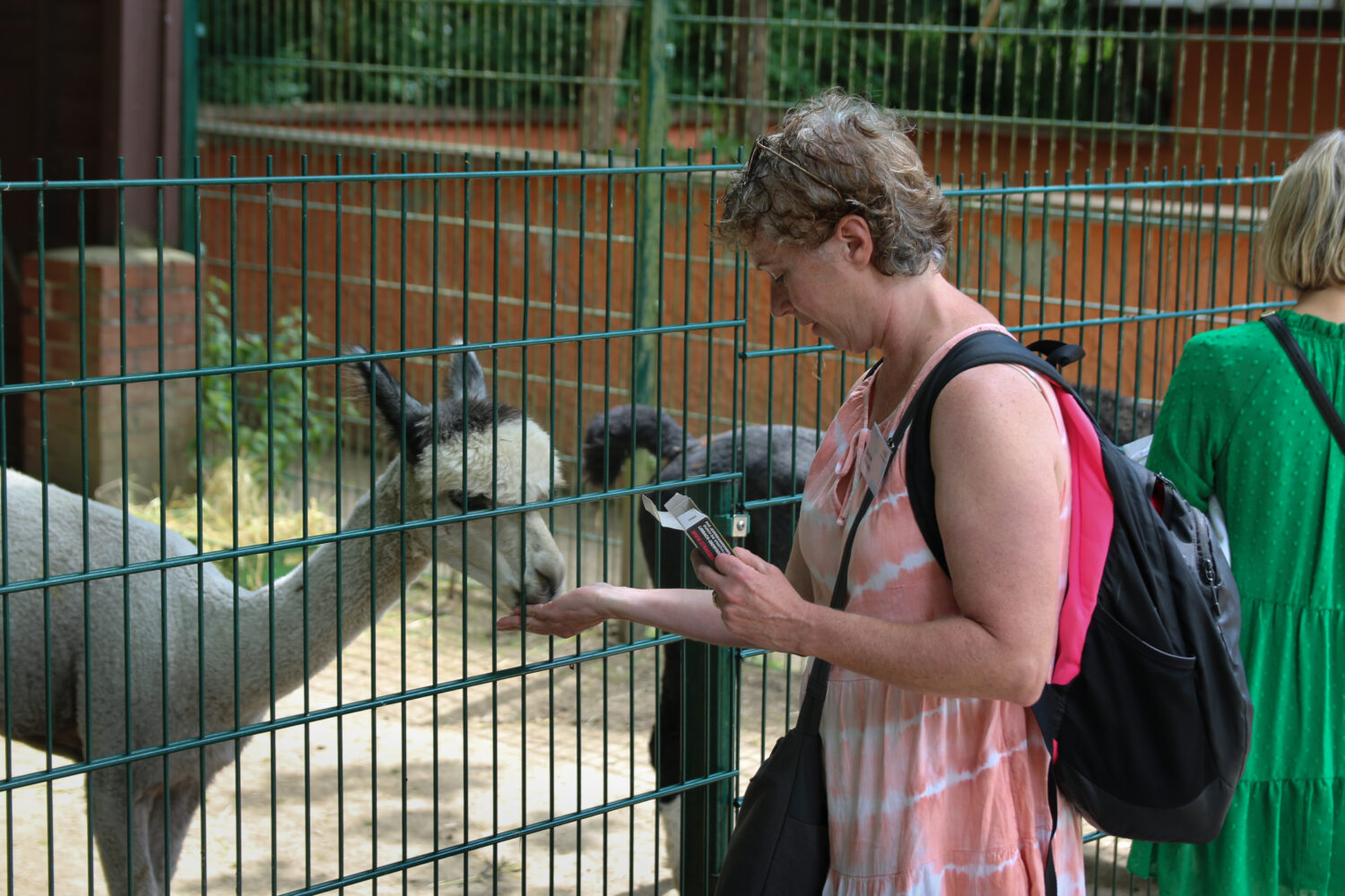 Visit to the America Zoo in Limbach-Oberfrohna with students of Pestalozzi-Schule