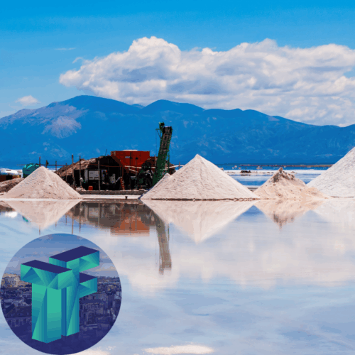 Points of Vulnerability in the Battery Cell Industry
