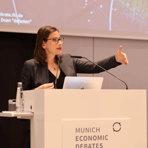 Economics of a Global Market Mudpit
