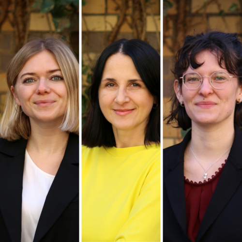 Drei neue Gesichter verstärken unser Team