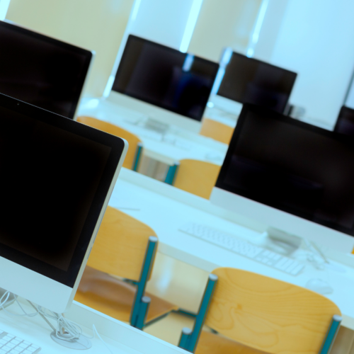 Workstream Digitization