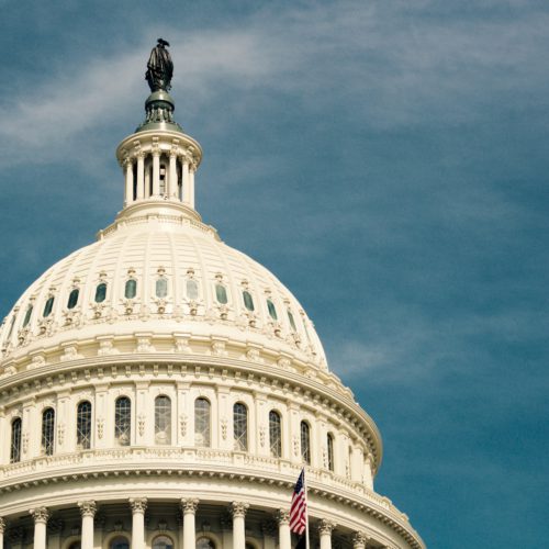 Split governance: what to anticipate from the US midterm elections