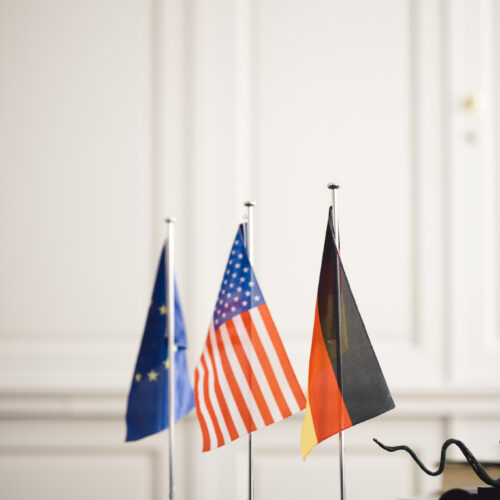 Stellenausschreibung: Assistant Program Manager (m/w/d)