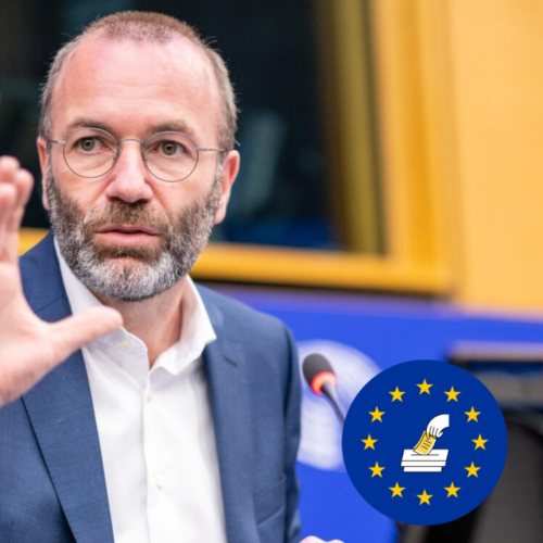 „Die radikale Rechte in Europa wird langfristig nicht vom Trumpismus profitieren“