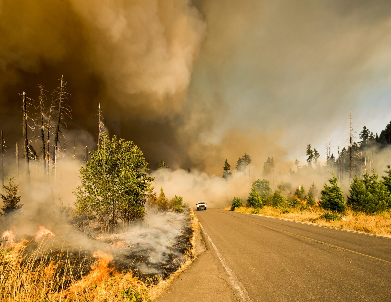 A hot summer of wildfires underscores the global urgency of governmental action