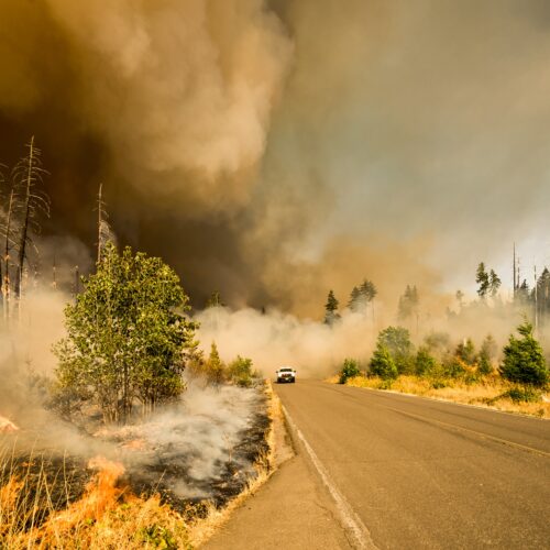 A hot summer of wildfires underscores the global urgency of governmental action