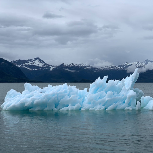 Klimapolitik und die transatlantischen Beziehungen